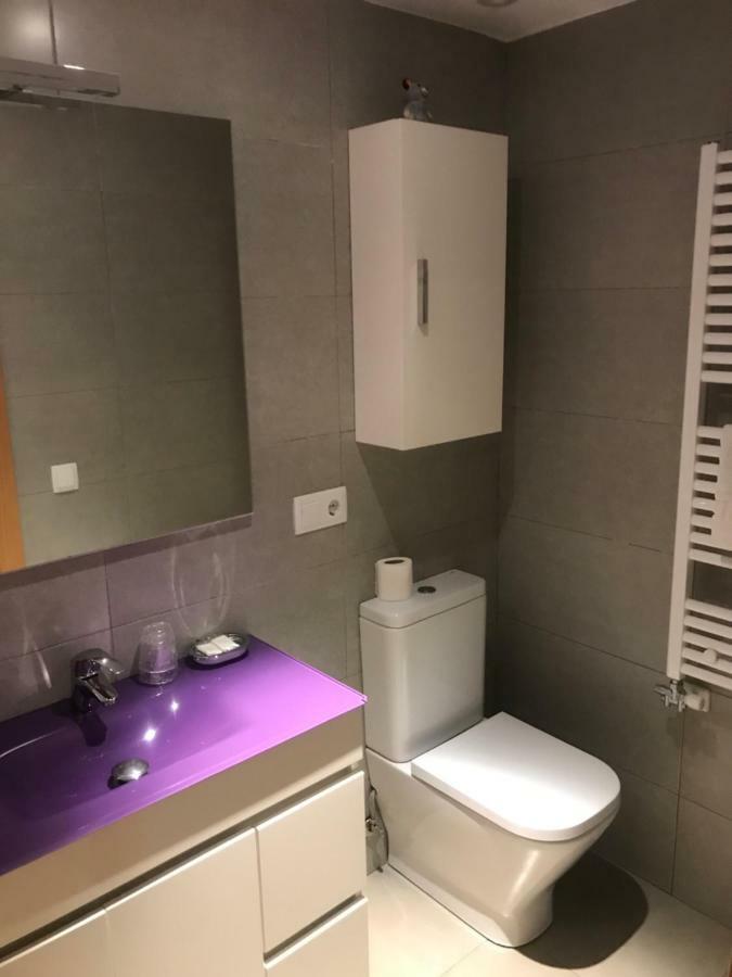 Apartaments Ca L'Albert La Pobla de Segur Exterior foto